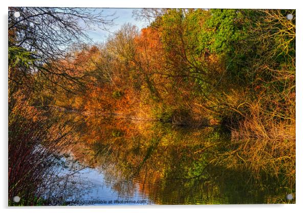 Autumn Reflections Acrylic by David Atkinson