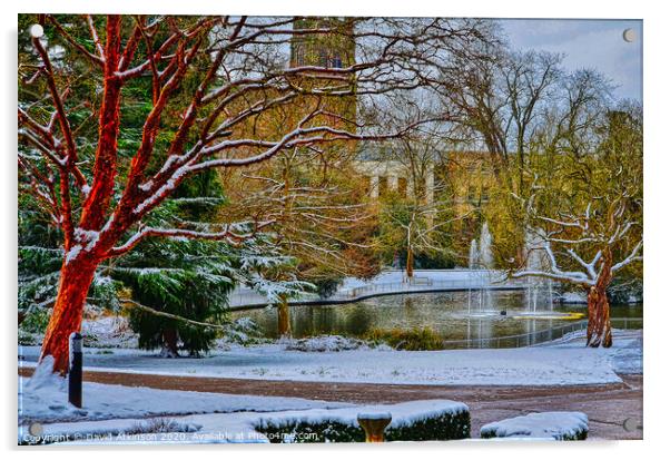 Winter in the park Acrylic by David Atkinson