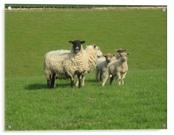 Sheep with Lambs Acrylic by angela morris