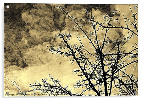 Cold Day Branches Acrylic by Stan Owen