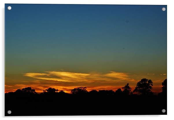 Nuneaton Sunset Acrylic by Frankie Arkell