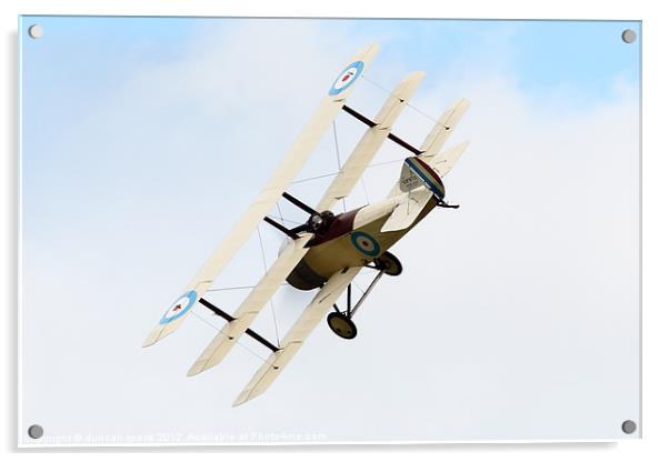 sopwith triplane Acrylic by duncan speirs