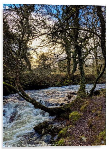 Winter moorland stream Acrylic by Jon Short