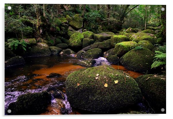 Horsham Steps, River Bovey,Dartmoor Acrylic by Jon Short