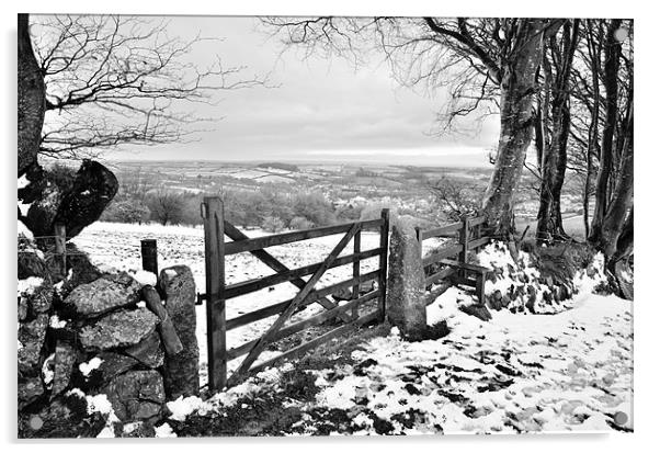 Dartmoor Gate Acrylic by Jon Short