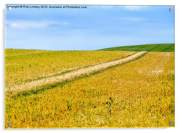  Fields of Gold Acrylic by Rick Lindley