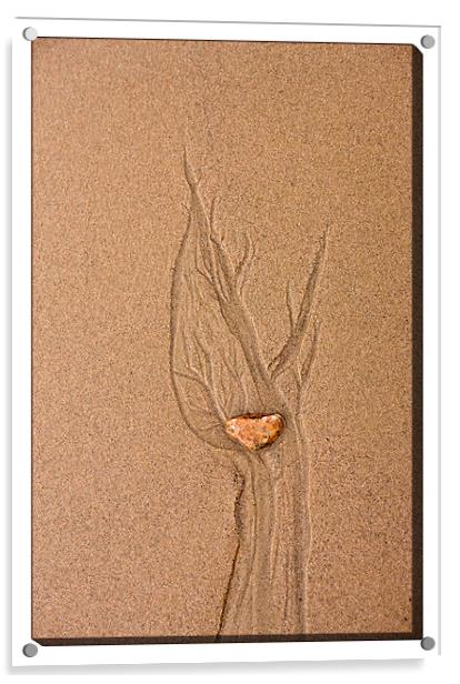 Sand Art Acrylic by LIZ Alderdice