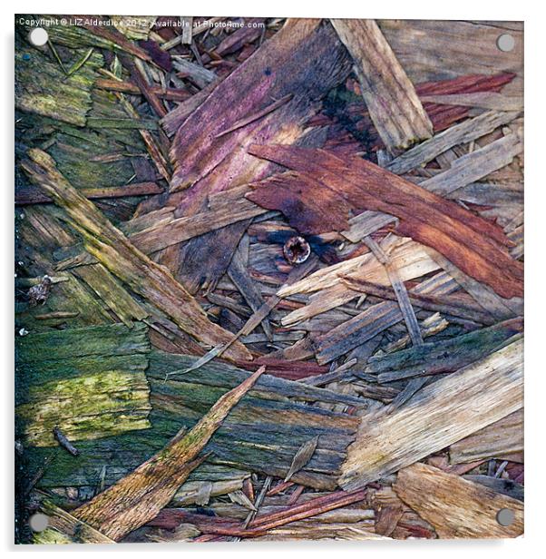 Abstract Woodchip Board with screw Acrylic by LIZ Alderdice