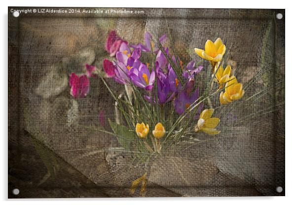 Springtime Flowers Acrylic by LIZ Alderdice