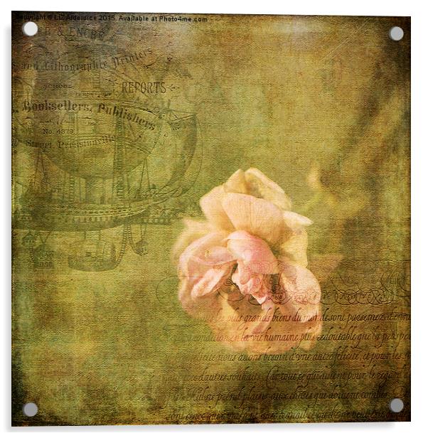  Yesterday's Rose Acrylic by LIZ Alderdice
