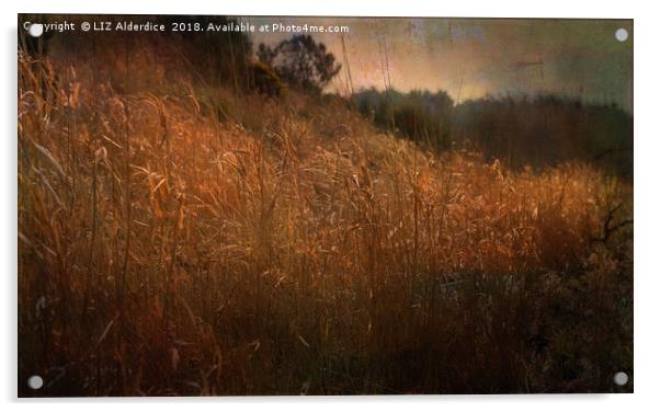 River Bank Reeds Acrylic by LIZ Alderdice