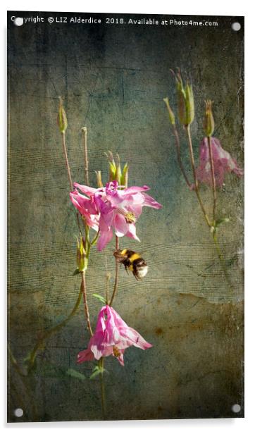 Bee Happy Acrylic by LIZ Alderdice
