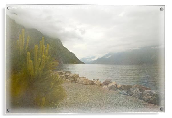 Lake Garda Acrylic by LIZ Alderdice