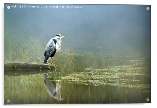 The Watchful Heron Acrylic by LIZ Alderdice