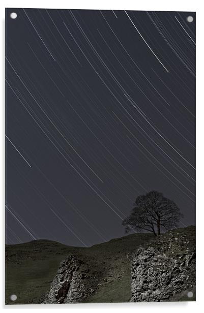 Lone Tree by Moonlight Acrylic by Natures' Canvas: Wall Art  & Prints by Andy Astbury