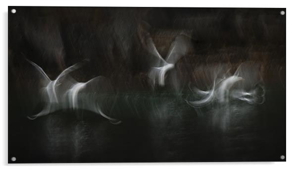 Sea Sprites Acrylic by Natures' Canvas: Wall Art  & Prints by Andy Astbury