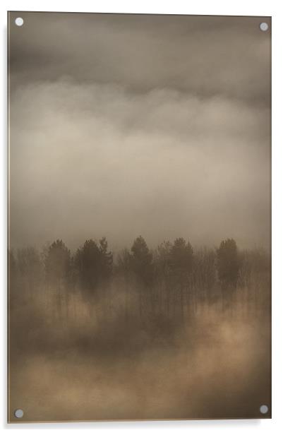Fog Wall Acrylic by Natures' Canvas: Wall Art  & Prints by Andy Astbury