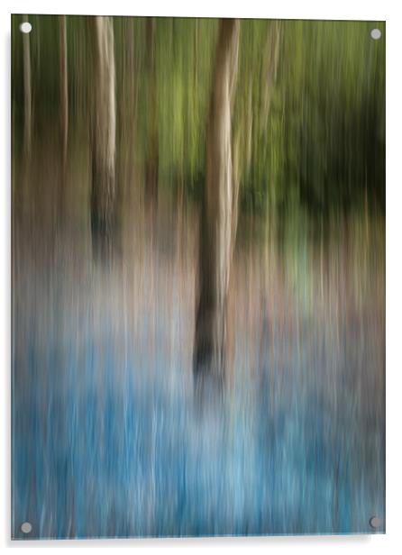 Bluebell Wood Acrylic by Natures' Canvas: Wall Art  & Prints by Andy Astbury