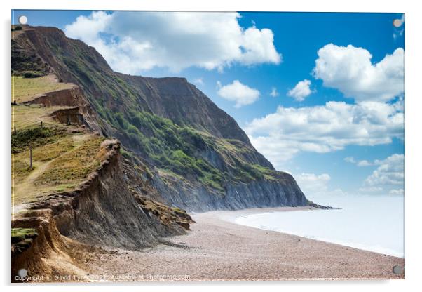 Dorset's Ancient Coastal Pathway Acrylic by David Tyrer