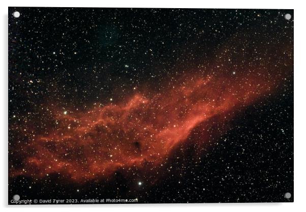 NGC1499 - California Nebula Acrylic by David Tyrer
