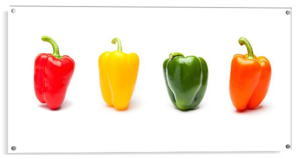 Vibrant Panorama of Rainbow Bell Peppers Acrylic by David Tyrer