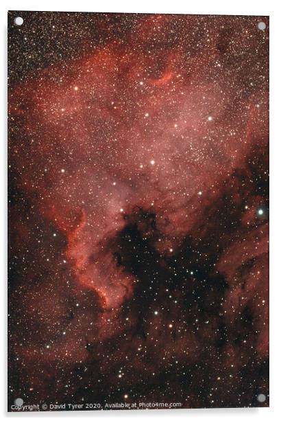 Cosmic Tapestry: The North American Nebula Acrylic by David Tyrer