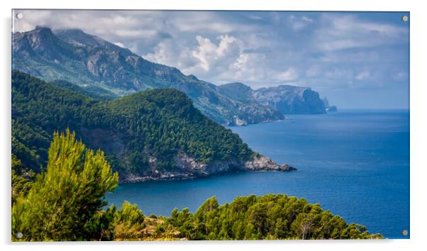 Majorca Coastline near Banyalbufar Acrylic by David Tyrer