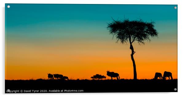 Twilight in the Masai Mara Acrylic by David Tyrer
