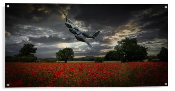 Mosquito Over Poppy Fields Acrylic by David Tyrer