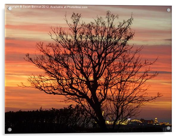 Brighton sunset Acrylic by Sarah Bonnot