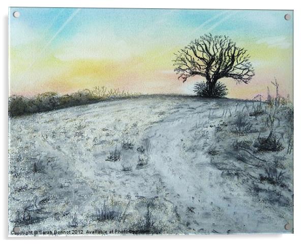 Snowy Oak Acrylic by Sarah Bonnot