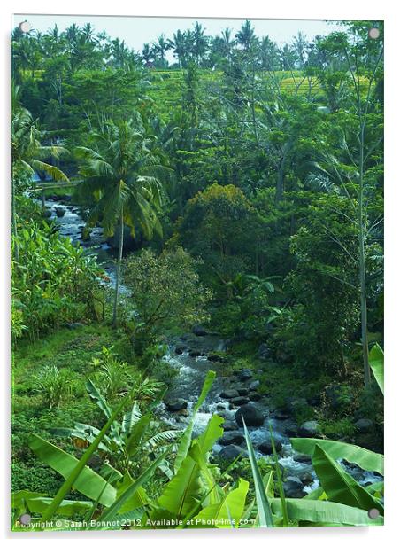 Bali Jungle River Acrylic by Sarah Bonnot