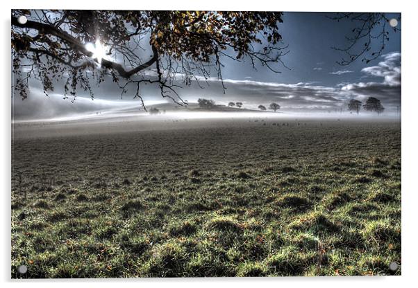 Eden Valley Mist Cumbria Acrylic by Gavin Wilson
