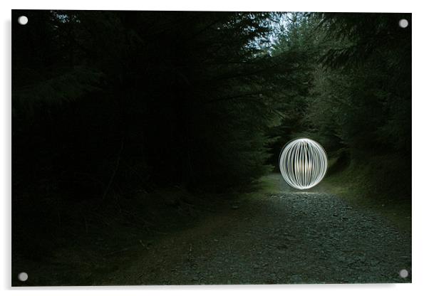 woodland walk Acrylic by Gavin Wilson