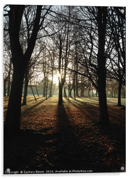 Sunrise in Hale Barns Park Acrylic by Zachary Bloom