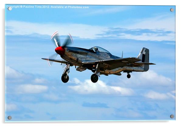 P 15D MUSTANG Acrylic by Pauline Tims