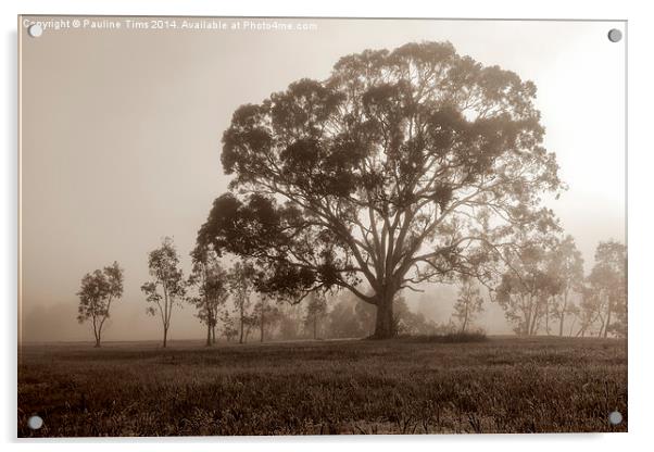  Gum Tree in the Mist at Yan Yean Park, (Sepia) Acrylic by Pauline Tims