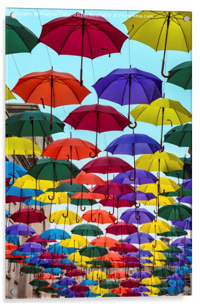Umbrellas in Bath, UK Acrylic by Pauline Tims