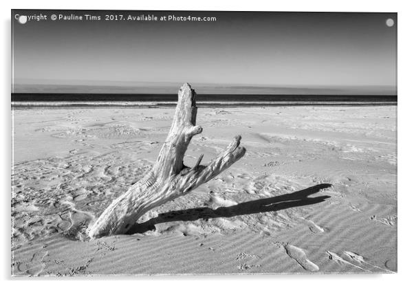 Lonely Tree on Friendly Beach, Tasmania Acrylic by Pauline Tims