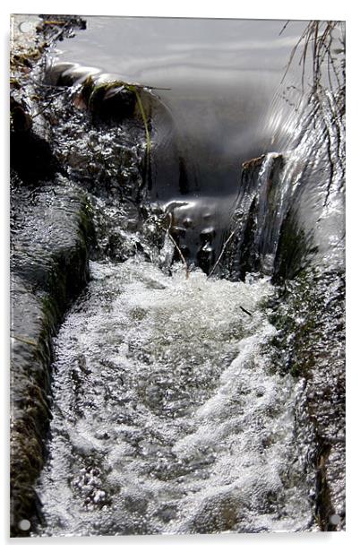 Babbling Brook Acrylic by Zechariah Richardson