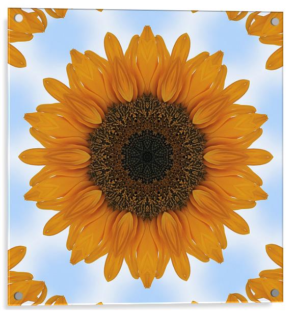 Kaleidoscope Sunflower Acrylic by Julie Ormiston