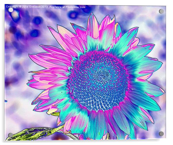 Summer Sunflower Acrylic by Julie Ormiston