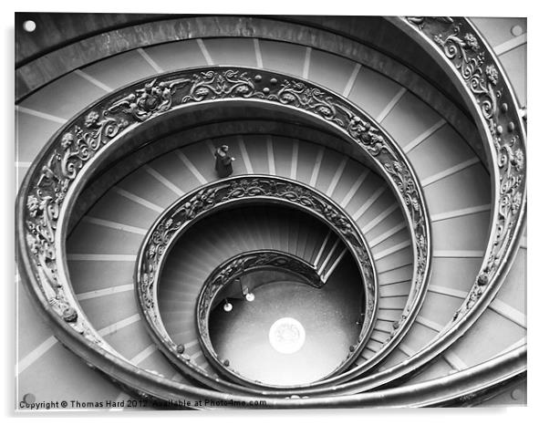 Spiral Staircase of the Vatican Museum Acrylic by Tom Hard