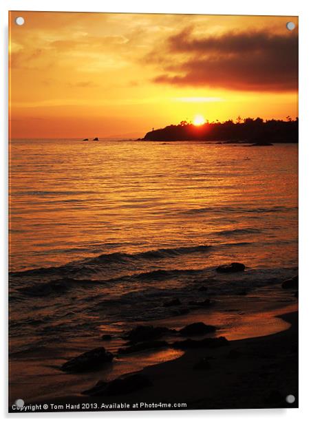 Laguna Sunset Acrylic by Tom Hard