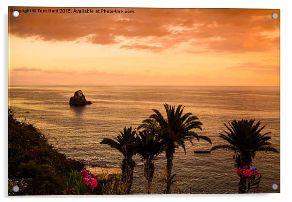 Madeira Sunset Acrylic by Tom Hard