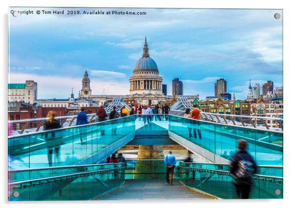 St Paul's Cathedral Acrylic by Tom Hard