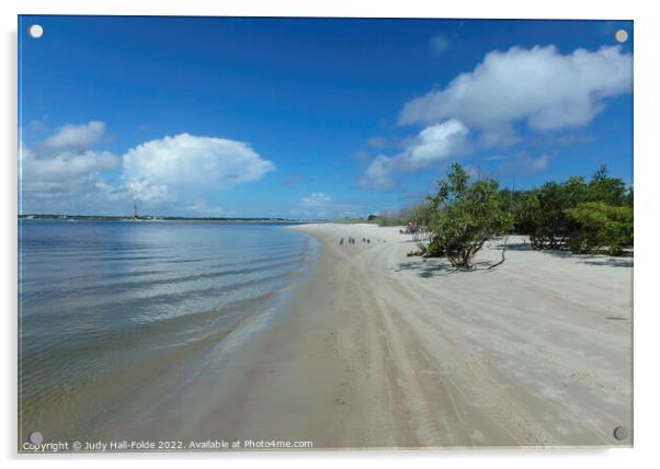 New Smryna Dog Beach Acrylic by Judy Hall-Folde