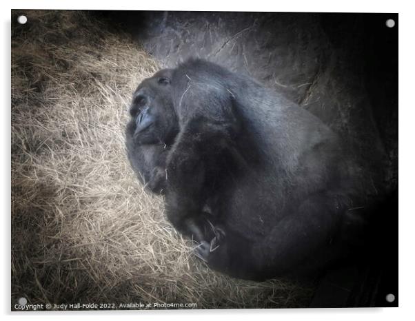 Napping Ape Acrylic by Judy Hall-Folde