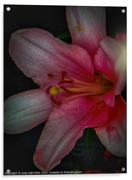 Pink Lily 4 2023 Acrylic by Judy Hall-Folde