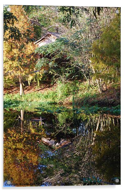 Reflections of a Florida Morn Acrylic by Judy Hall-Folde